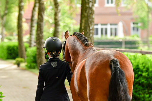 Goldene Schärpe Ponys in Löningen  4+5.6.22 | 05062022 Vormustern_383 