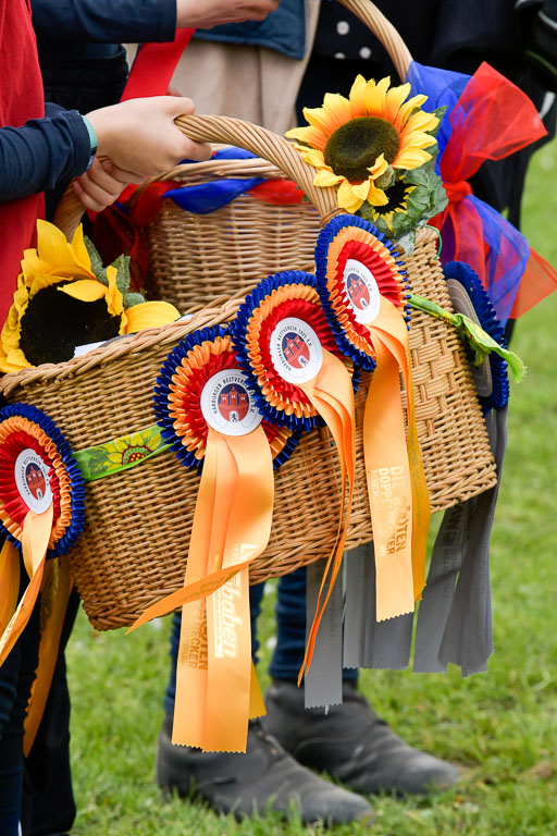 HH - Harburg  Vielseitigkeitsturnier  14.5.22 | 14052022 Gelände 1 Abt _347 