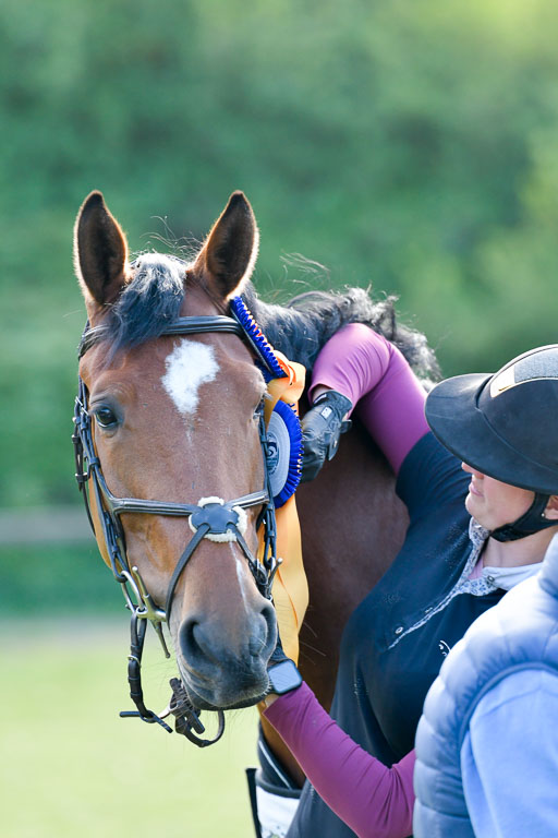 HH - Harburg  Vielseitigkeitsturnier  14.5.22 | 14052022 Gelände 2 Abt _433 