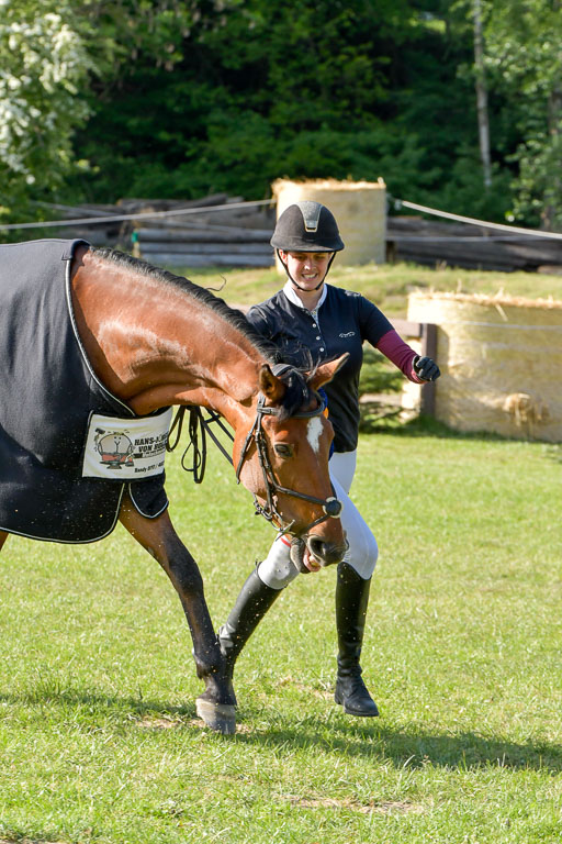 HH - Harburg  Vielseitigkeitsturnier  14.5.22 | 14052022 Gelände 2 Abt _459 