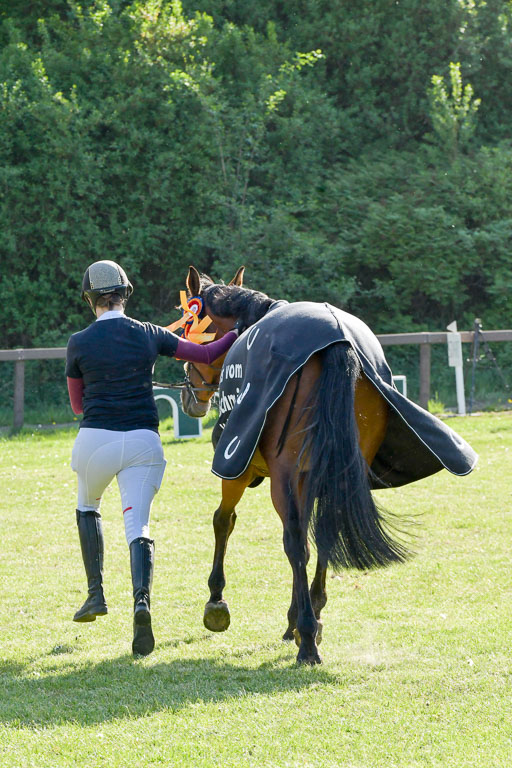 HH - Harburg  Vielseitigkeitsturnier  14.5.22 | 14052022 Gelände 2 Abt _462 
