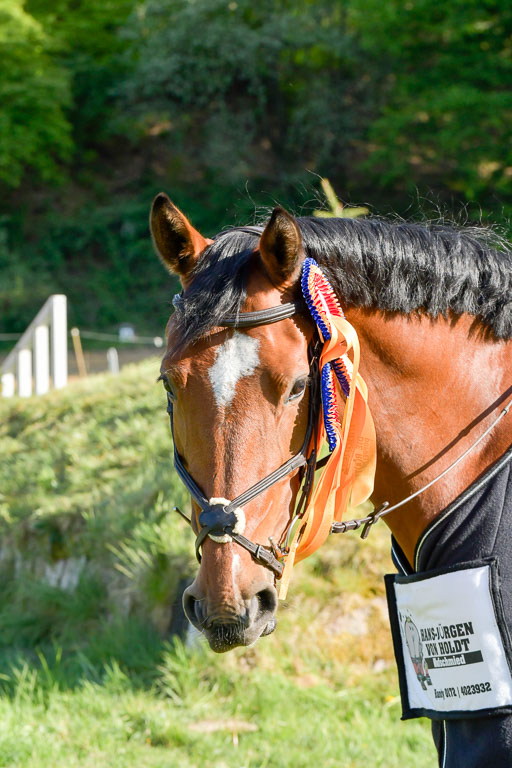 HH - Harburg  Vielseitigkeitsturnier  14.5.22 | 14052022 Gelände 2 Abt _465 