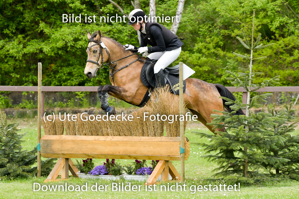 HH - Harburg  Vielseitigkeitsturnier  14.5.22 | 14052022 Gelände 1 Abt _005 
