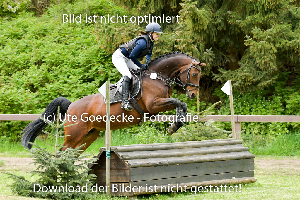 HH - Harburg  Vielseitigkeitsturnier  14.5.22 | 14052022 Gelände 1 Abt _007 
