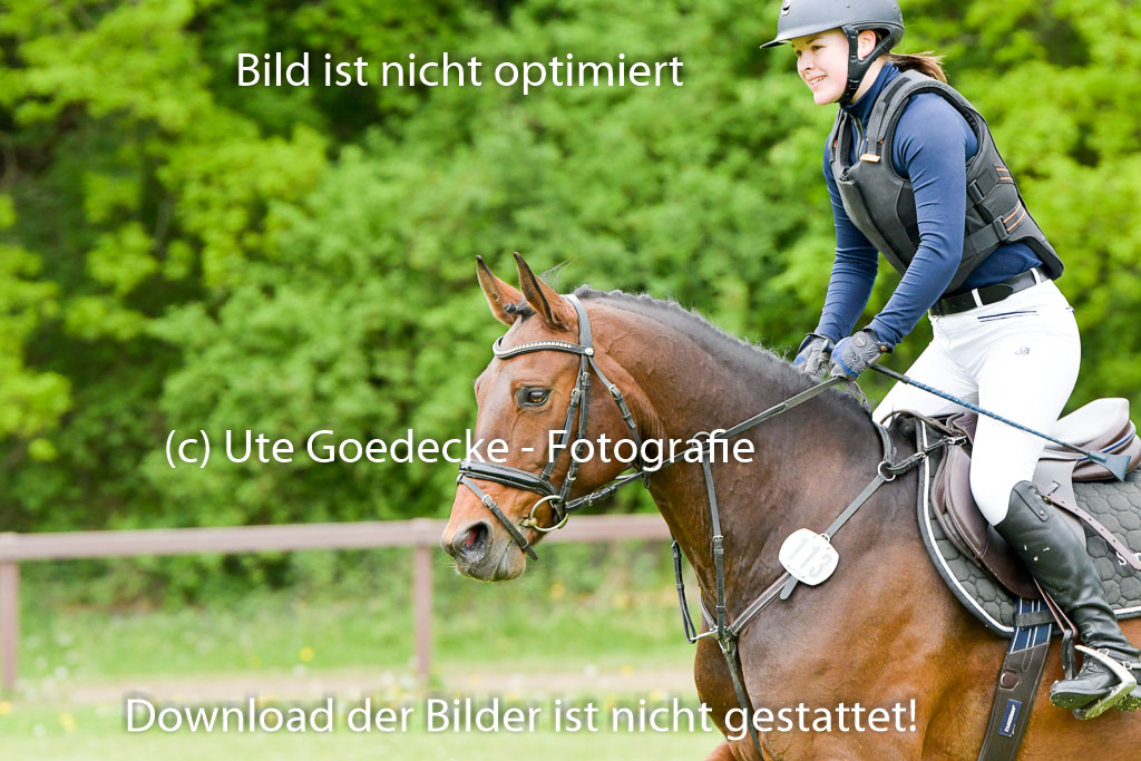 HH - Harburg  Vielseitigkeitsturnier  14.5.22 | 14052022 Gelände 1 Abt _022 