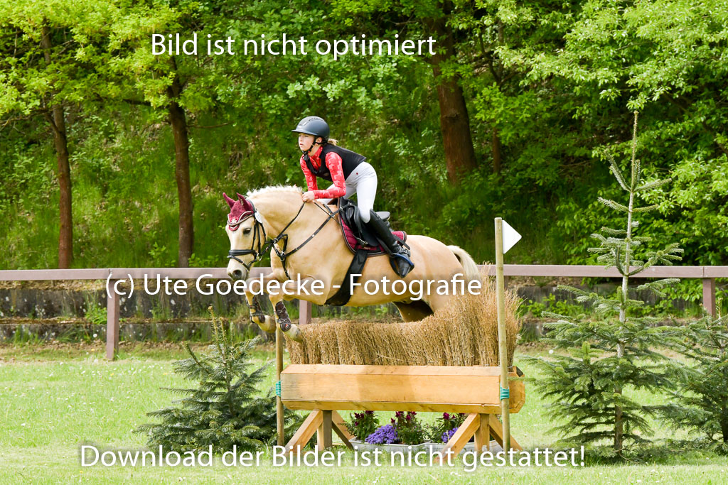 HH - Harburg  Vielseitigkeitsturnier  14.5.22 | 14052022 Gelände 1 Abt _069 