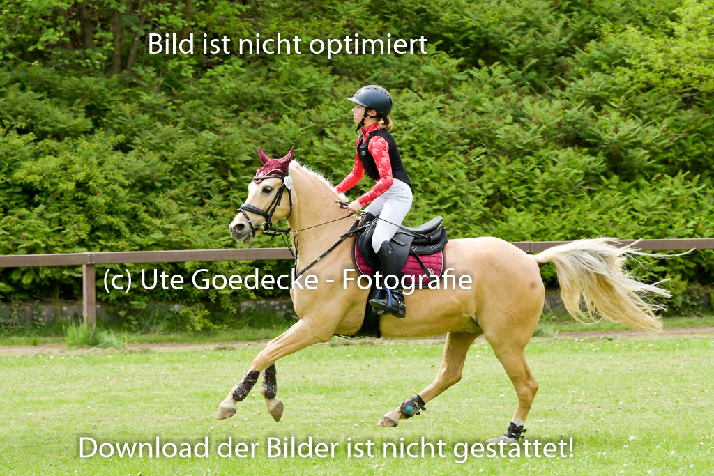 HH - Harburg  Vielseitigkeitsturnier  14.5.22 | 14052022 Gelände 1 Abt _070 