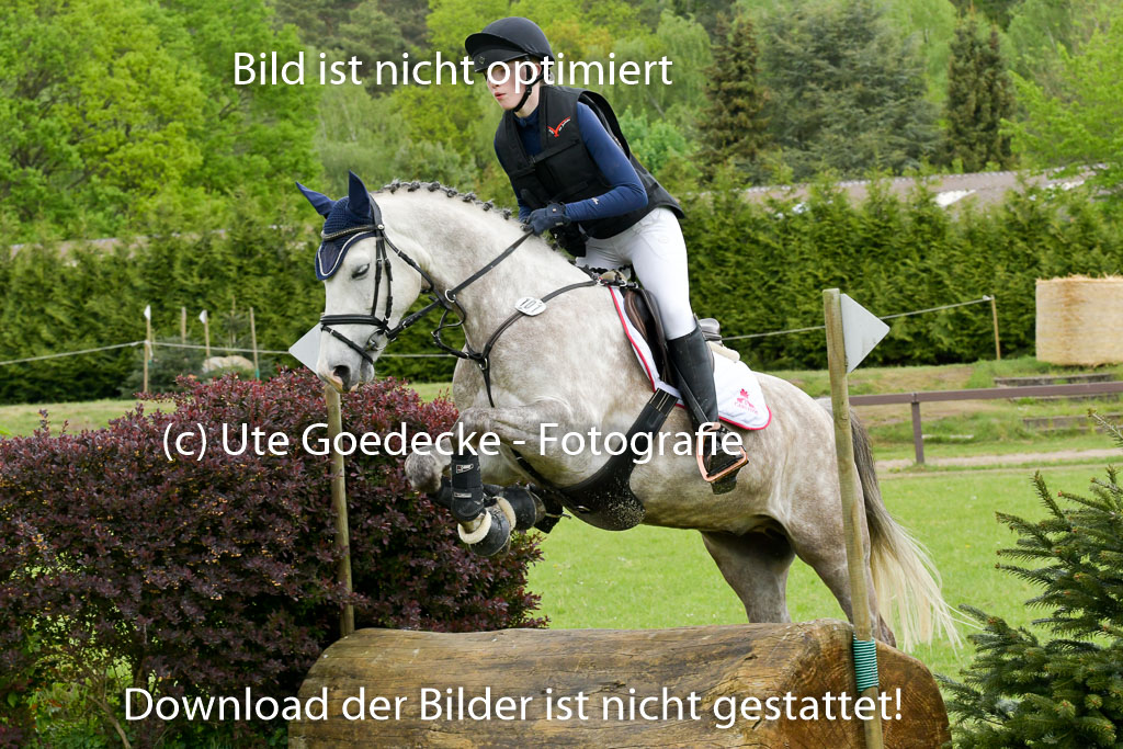 HH - Harburg  Vielseitigkeitsturnier  14.5.22 | 14052022 Gelände 1 Abt _128 