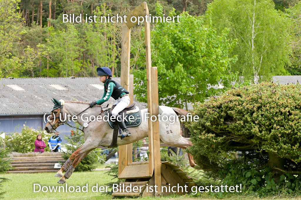HH - Harburg  Vielseitigkeitsturnier  14.5.22 | 14052022 Gelände 1 Abt _168 