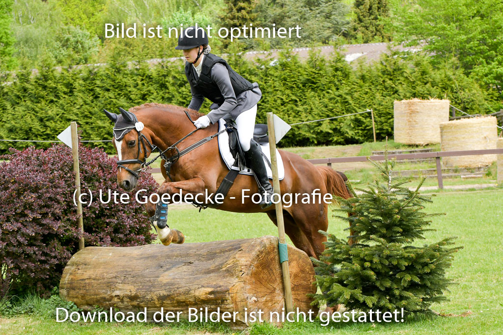 HH - Harburg  Vielseitigkeitsturnier  14.5.22 | 14052022 Gelände 1 Abt _177 