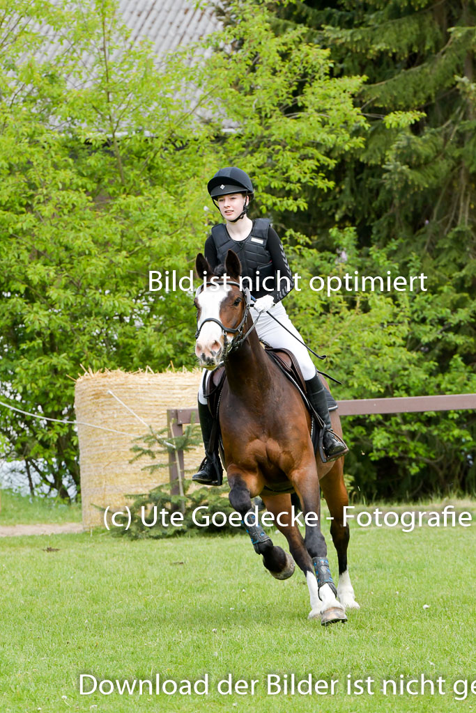 HH - Harburg  Vielseitigkeitsturnier  14.5.22 | 14052022 Gelände 1 Abt _231 