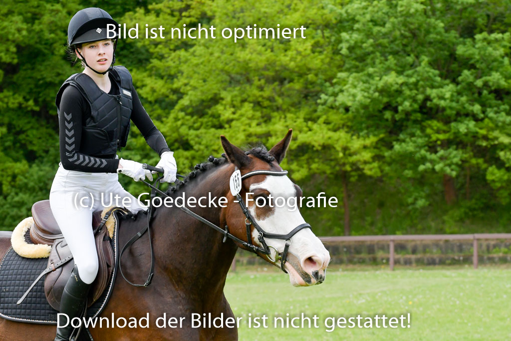 HH - Harburg  Vielseitigkeitsturnier  14.5.22 | 14052022 Gelände 1 Abt _237 