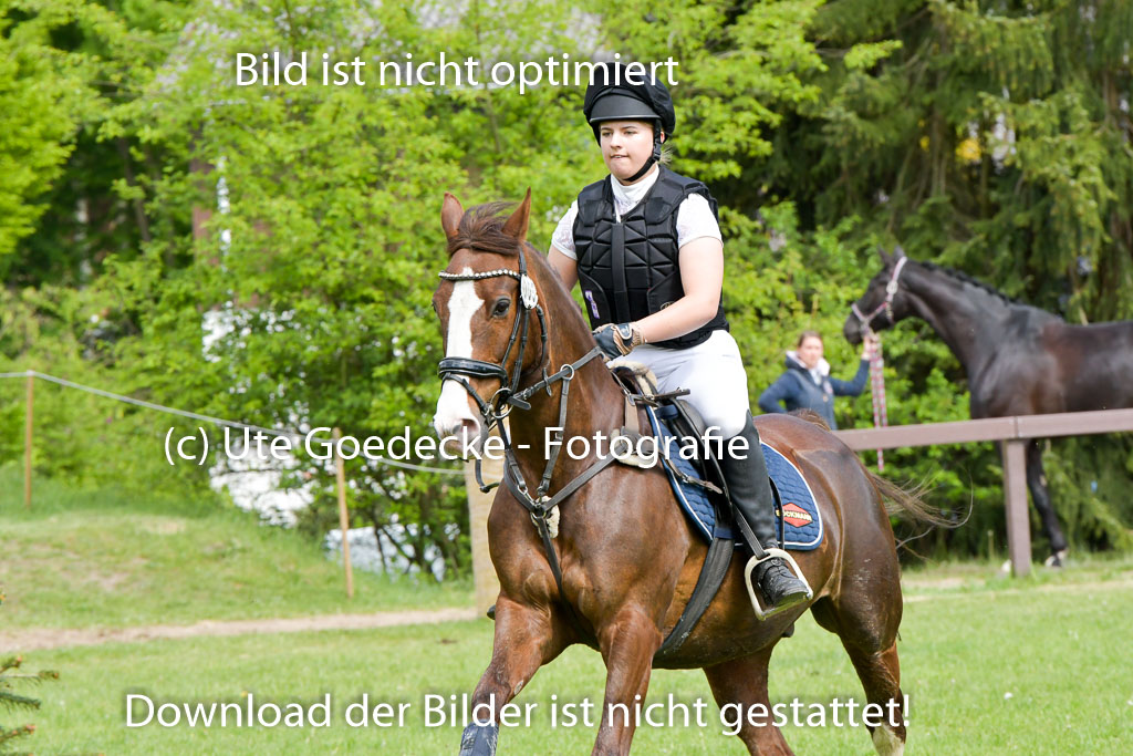 HH - Harburg  Vielseitigkeitsturnier  14.5.22 | 14052022 Gelände 1 Abt _254 