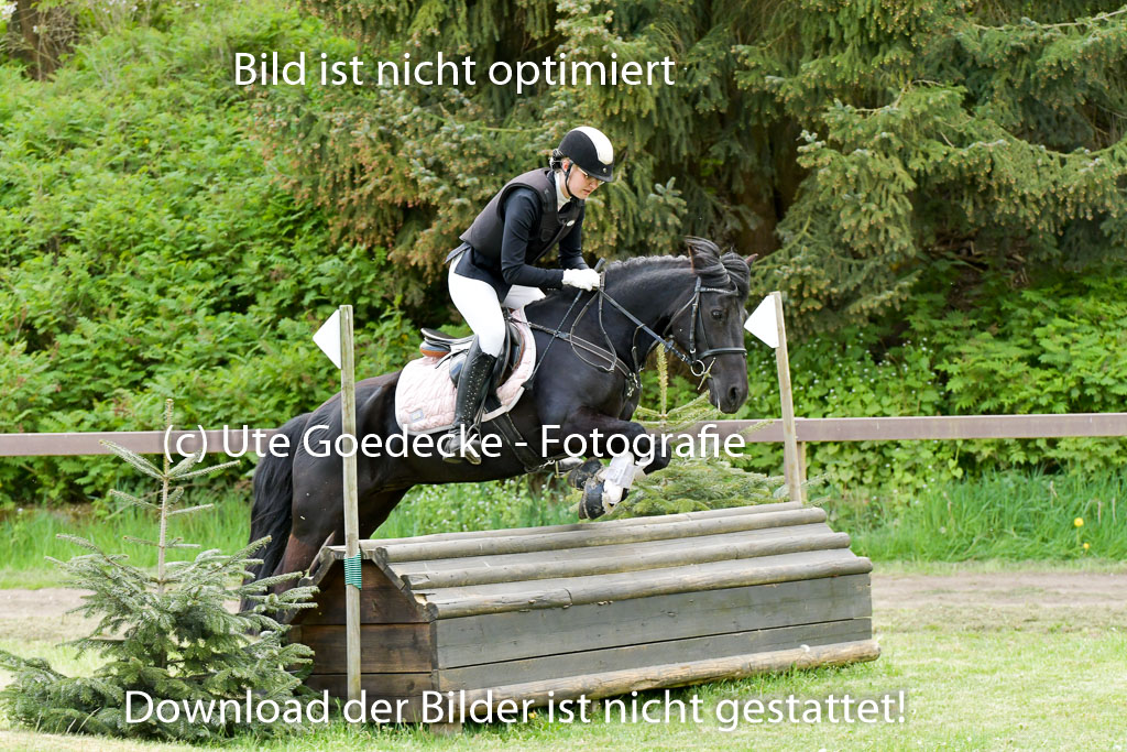 HH - Harburg  Vielseitigkeitsturnier  14.5.22 | 14052022 Gelände 1 Abt _313 