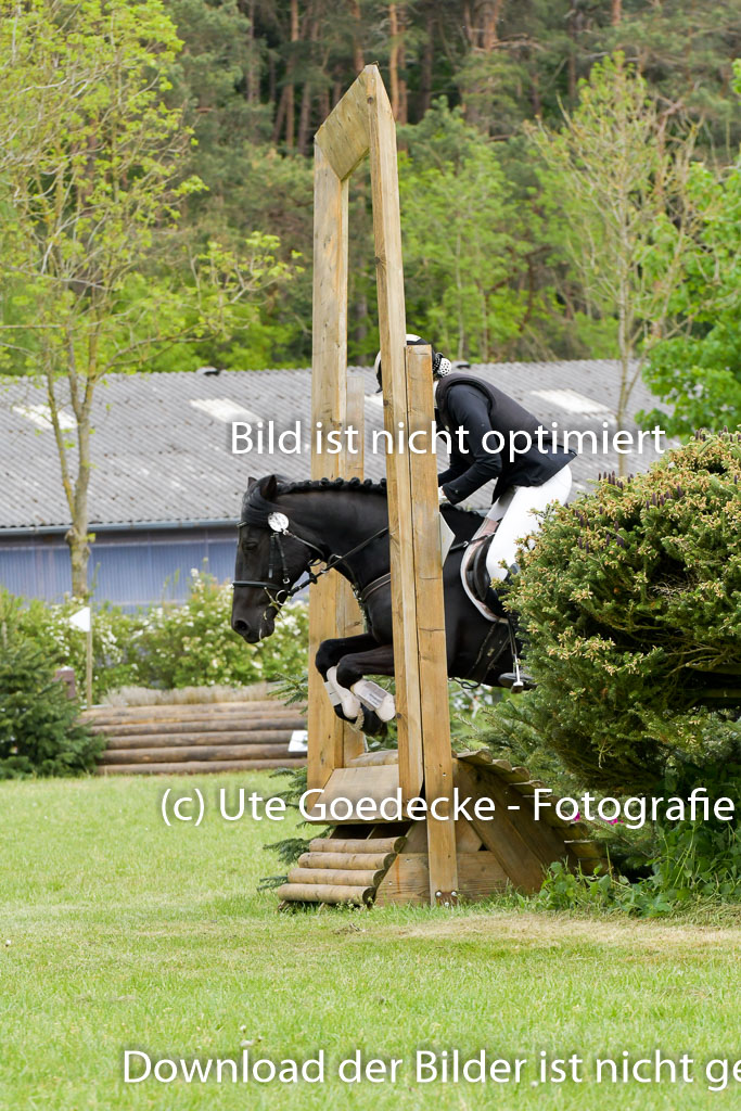 HH - Harburg  Vielseitigkeitsturnier  14.5.22 | 14052022 Gelände 1 Abt _316 