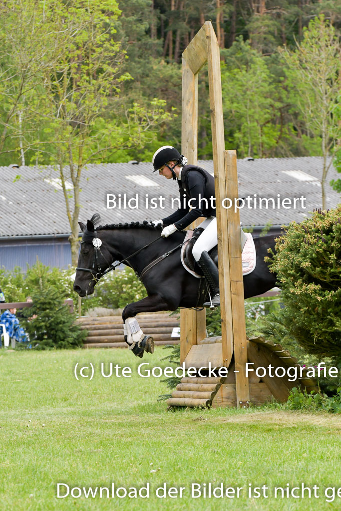 HH - Harburg  Vielseitigkeitsturnier  14.5.22 | 14052022 Gelände 1 Abt _317 