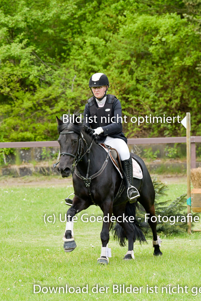 HH - Harburg  Vielseitigkeitsturnier  14.5.22 | 14052022 Gelände 1 Abt _323 
