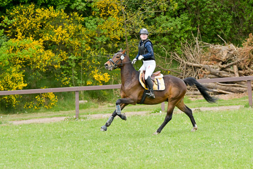 HH - Harburg  Vielseitigkeitsturnier  14.5.22 | 14052022 Gelände 1 Abt _223 