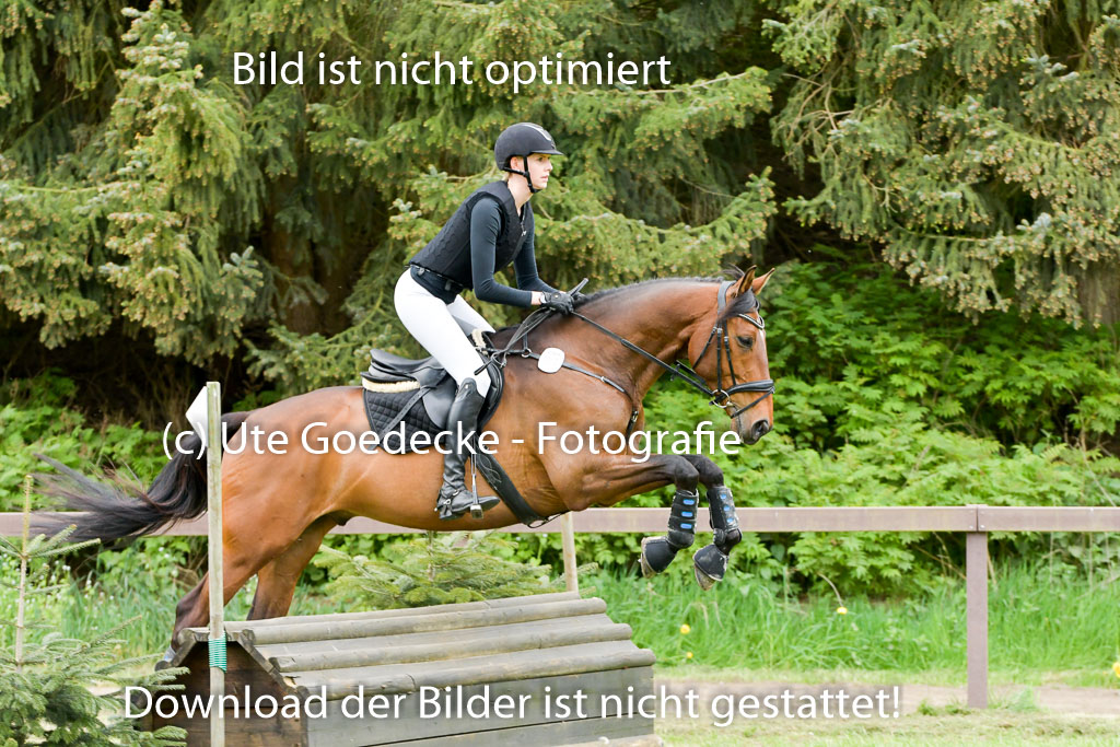 HH - Harburg  Vielseitigkeitsturnier  14.5.22 | 14052022 Gelände 2 Abt _001 