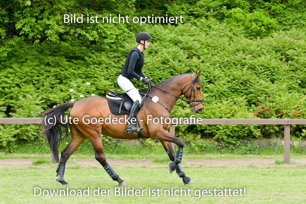 HH - Harburg  Vielseitigkeitsturnier  14.5.22 | 14052022 Gelände 2 Abt _002 