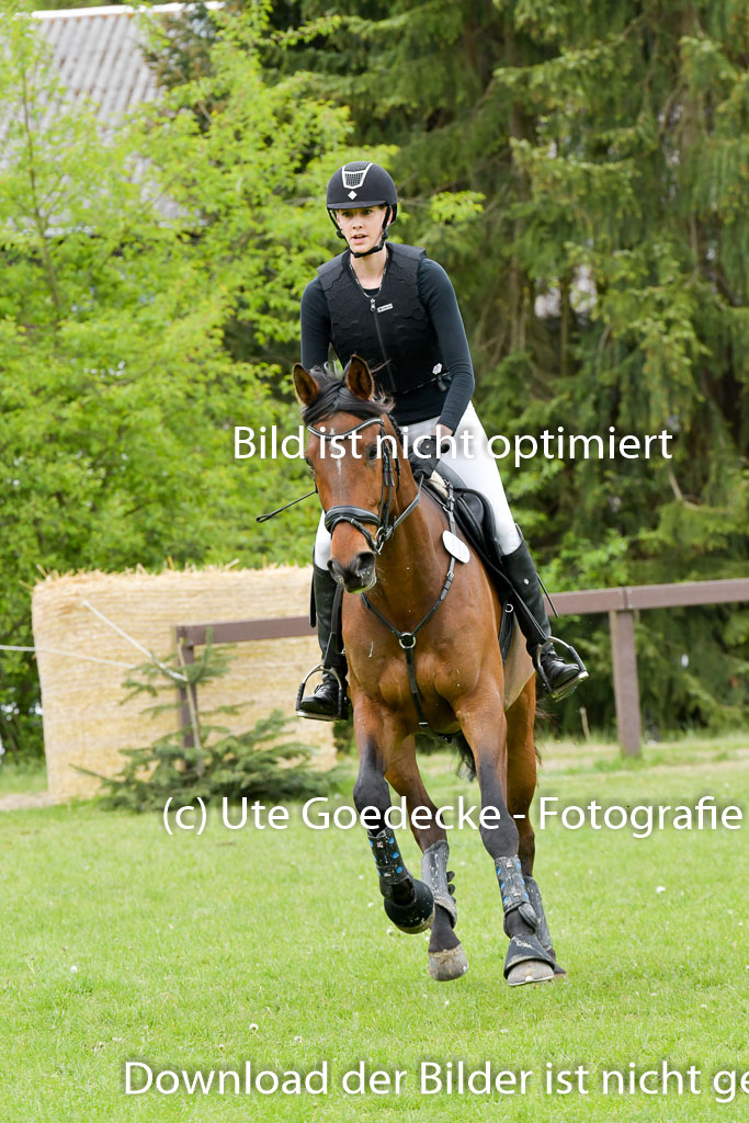 HH - Harburg  Vielseitigkeitsturnier  14.5.22 | 14052022 Gelände 2 Abt _003 