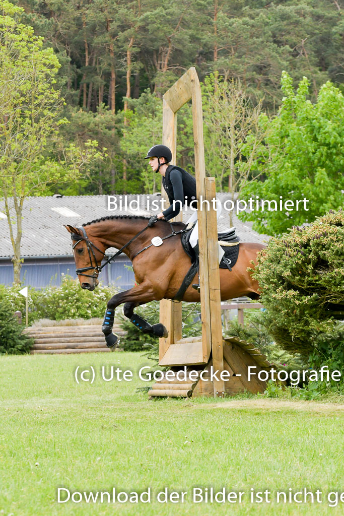 HH - Harburg  Vielseitigkeitsturnier  14.5.22 | 14052022 Gelände 2 Abt _006 