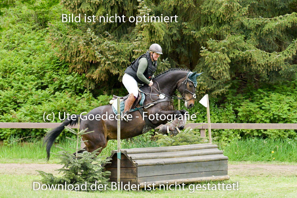 HH - Harburg  Vielseitigkeitsturnier  14.5.22 | 14052022 Gelände 2 Abt _013 