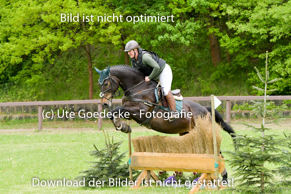 HH - Harburg  Vielseitigkeitsturnier  14.5.22 | 14052022 Gelände 2 Abt _018 