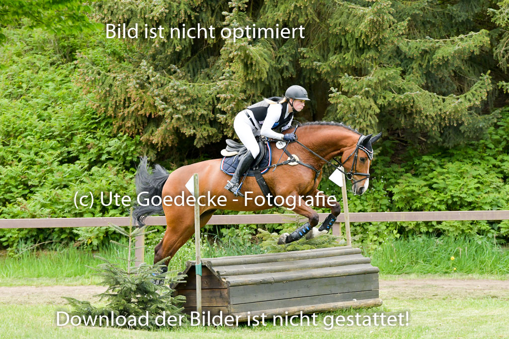 HH - Harburg  Vielseitigkeitsturnier  14.5.22 | 14052022 Gelände 2 Abt _019 