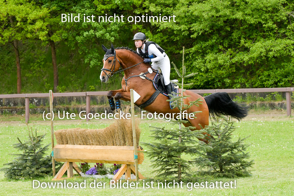 HH - Harburg  Vielseitigkeitsturnier  14.5.22 | 14052022 Gelände 2 Abt _029 