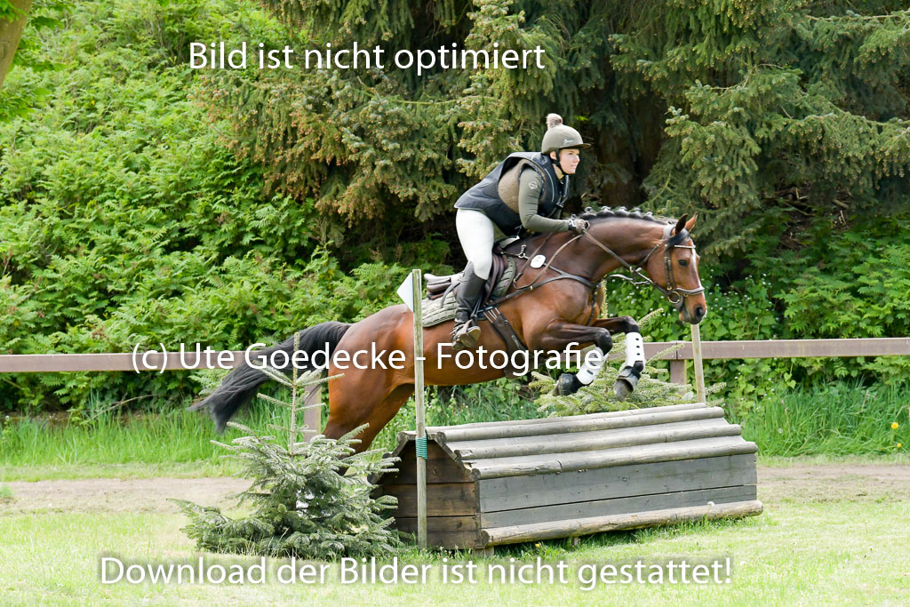 HH - Harburg  Vielseitigkeitsturnier  14.5.22 | 14052022 Gelände 2 Abt _037 