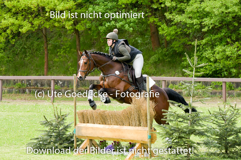 HH - Harburg  Vielseitigkeitsturnier  14.5.22 | 14052022 Gelände 2 Abt _053 