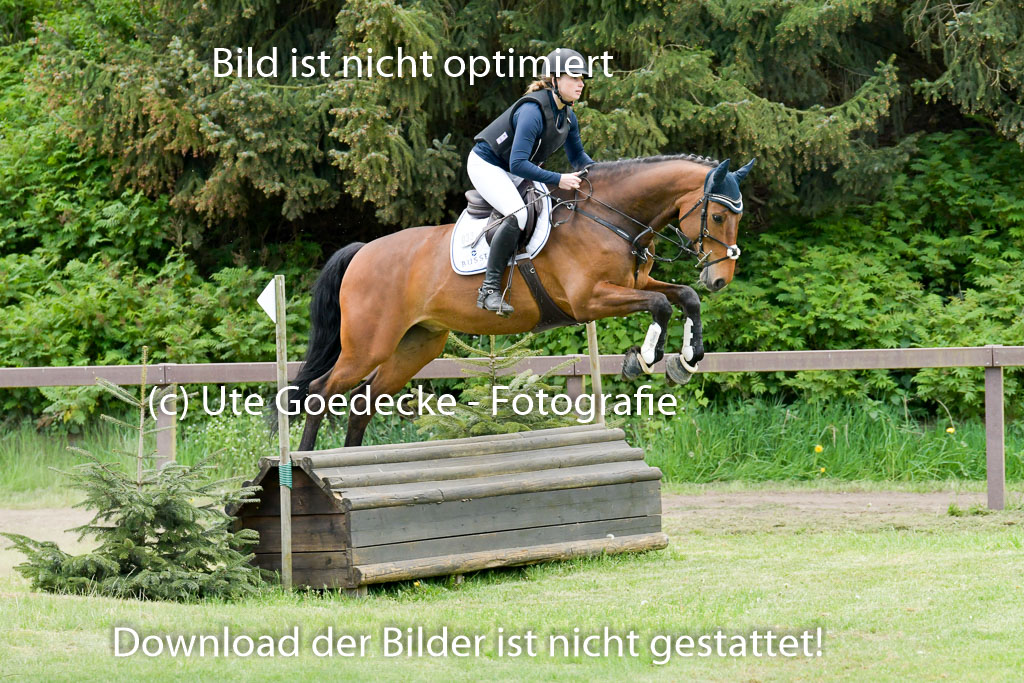 HH - Harburg  Vielseitigkeitsturnier  14.5.22 | 14052022 Gelände 2 Abt _062 