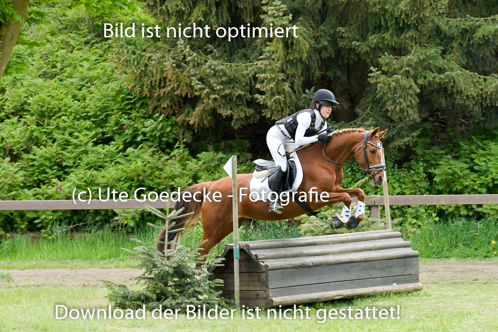HH - Harburg  Vielseitigkeitsturnier  14.5.22 | 14052022 Gelände 2 Abt _075 