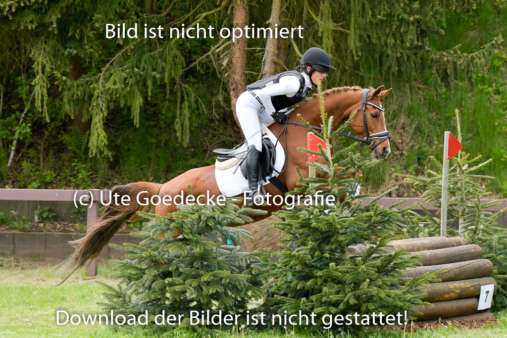HH - Harburg  Vielseitigkeitsturnier  14.5.22 | 14052022 Gelände 2 Abt _076 