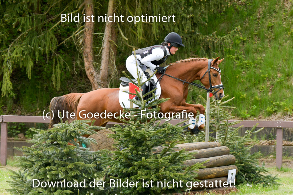HH - Harburg  Vielseitigkeitsturnier  14.5.22 | 14052022 Gelände 2 Abt _077 