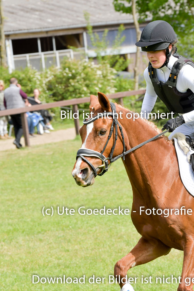 HH - Harburg  Vielseitigkeitsturnier  14.5.22 | 14052022 Gelände 2 Abt _082 