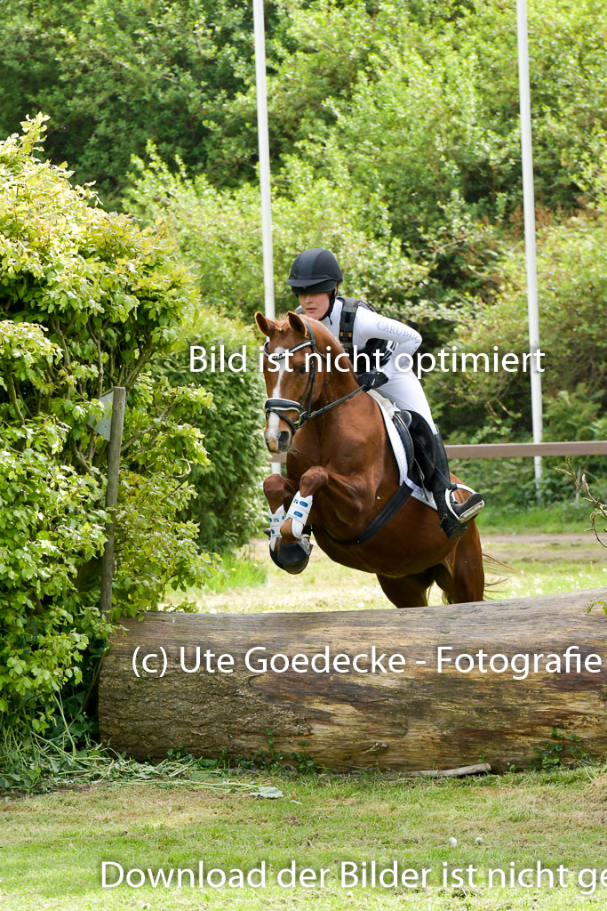 HH - Harburg  Vielseitigkeitsturnier  14.5.22 | 14052022 Gelände 2 Abt _083 