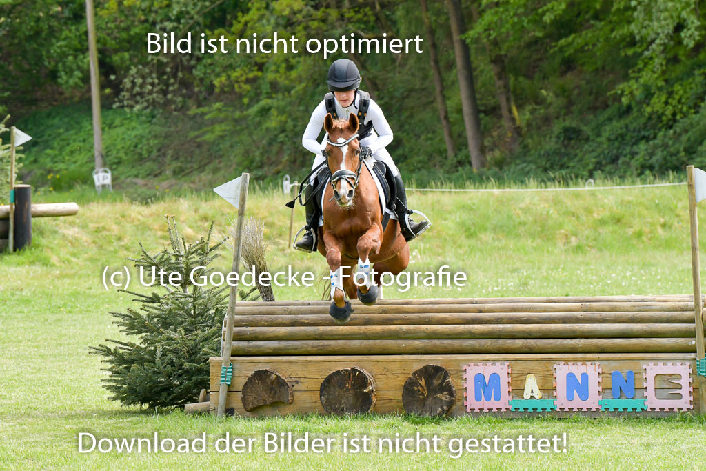 HH - Harburg  Vielseitigkeitsturnier  14.5.22 | 14052022 Gelände 2 Abt _086 