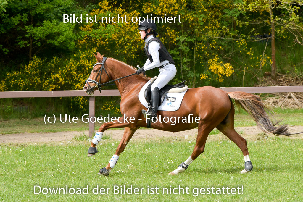 HH - Harburg  Vielseitigkeitsturnier  14.5.22 | 14052022 Gelände 2 Abt _088 