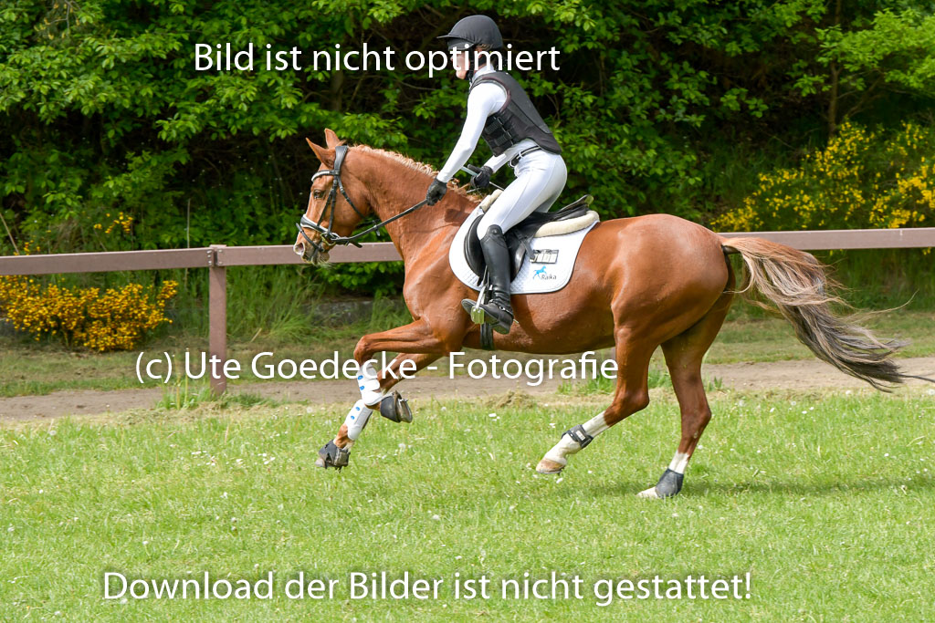 HH - Harburg  Vielseitigkeitsturnier  14.5.22 | 14052022 Gelände 2 Abt _089 