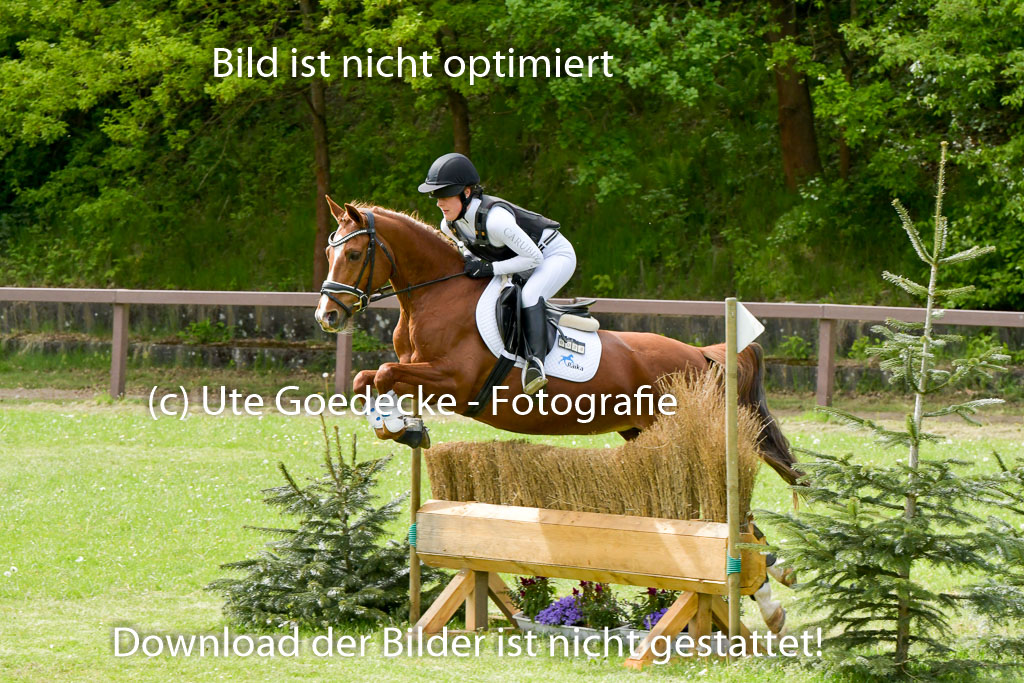 HH - Harburg  Vielseitigkeitsturnier  14.5.22 | 14052022 Gelände 2 Abt _090 