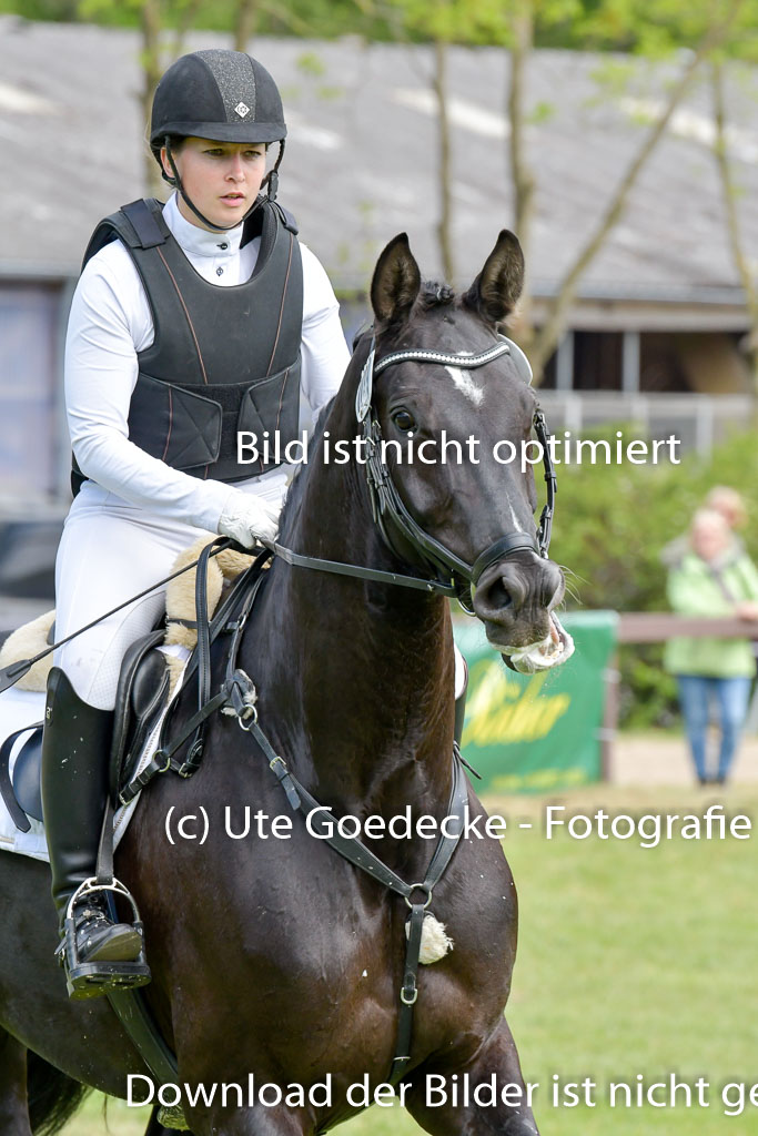 HH - Harburg  Vielseitigkeitsturnier  14.5.22 | 14052022 Gelände 2 Abt _095 
