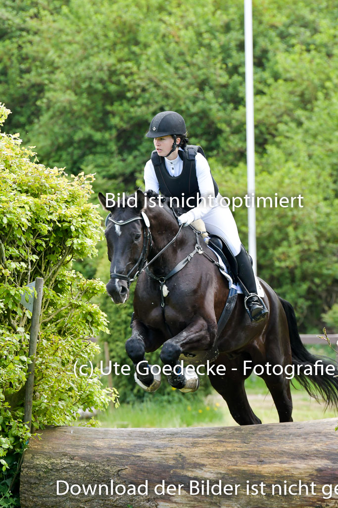 HH - Harburg  Vielseitigkeitsturnier  14.5.22 | 14052022 Gelände 2 Abt _098 
