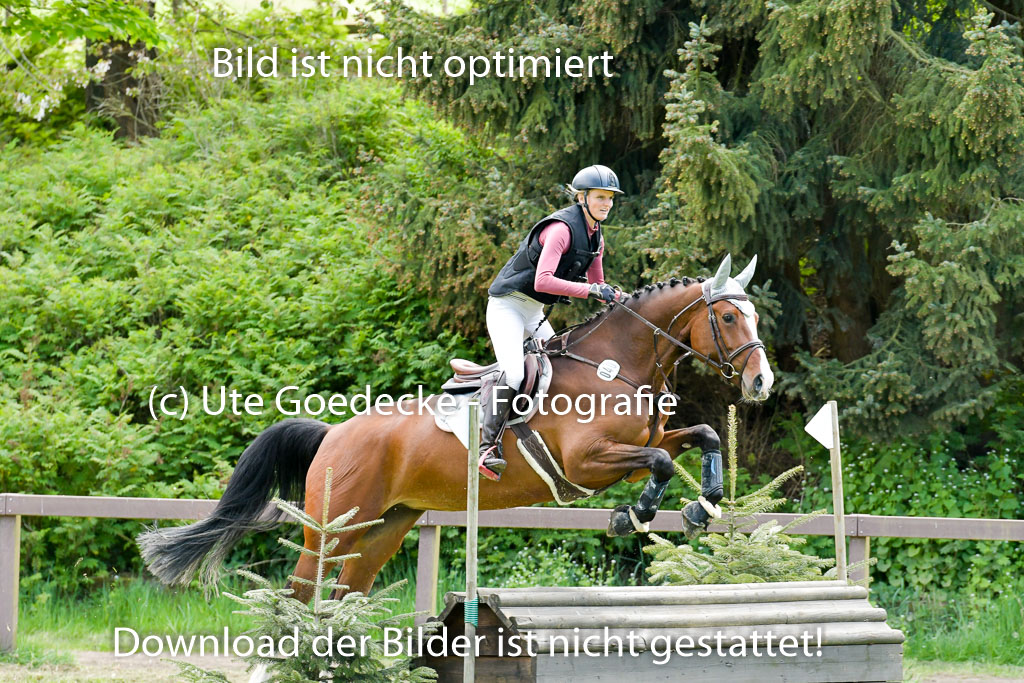 HH - Harburg  Vielseitigkeitsturnier  14.5.22 | 14052022 Gelände 2 Abt _102 