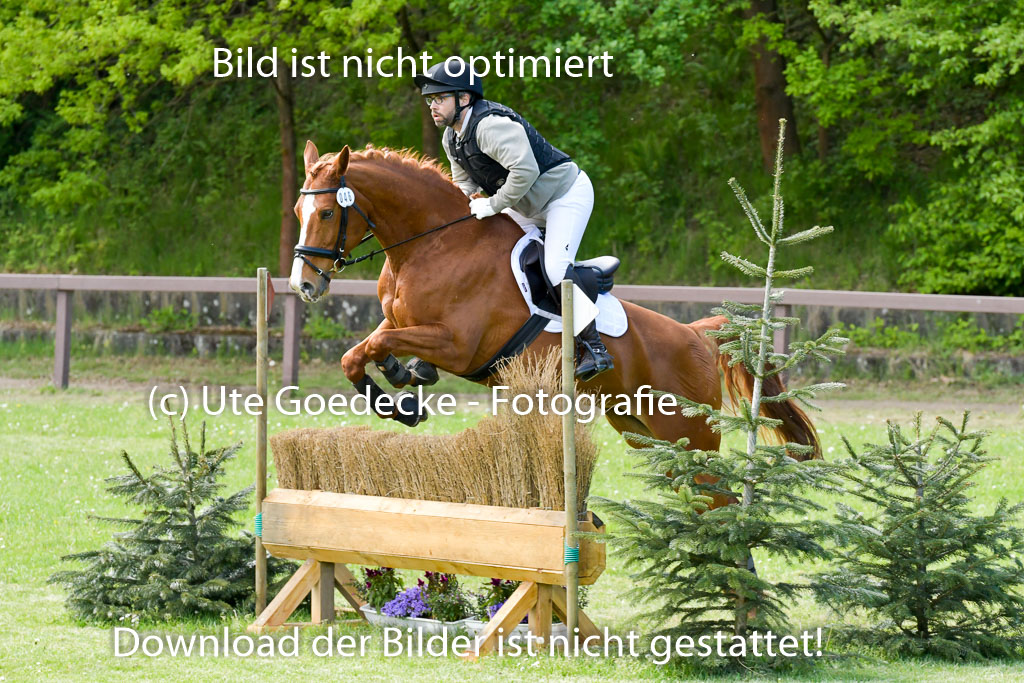 HH - Harburg  Vielseitigkeitsturnier  14.5.22 | 14052022 Gelände 2 Abt _113 