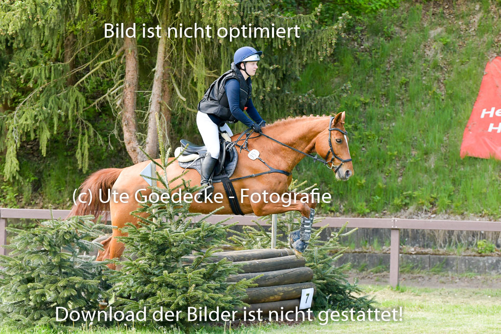 HH - Harburg  Vielseitigkeitsturnier  14.5.22 | 14052022 Gelände 2 Abt _116 