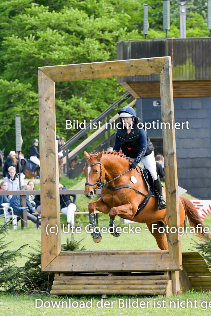 HH - Harburg  Vielseitigkeitsturnier  14.5.22 | 14052022 Gelände 2 Abt _117 