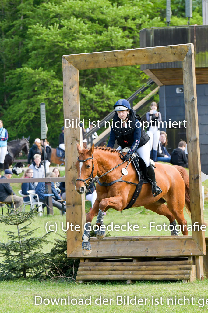 HH - Harburg  Vielseitigkeitsturnier  14.5.22 | 14052022 Gelände 2 Abt _118 
