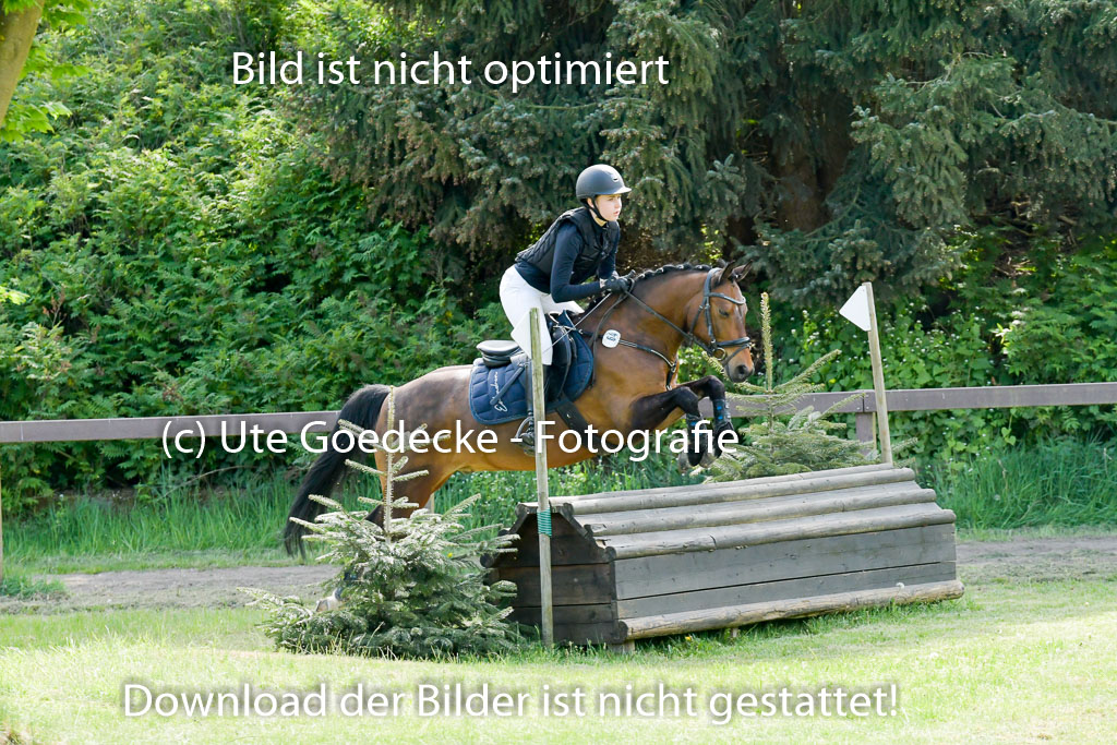 HH - Harburg  Vielseitigkeitsturnier  14.5.22 | 14052022 Gelände 2 Abt _122 